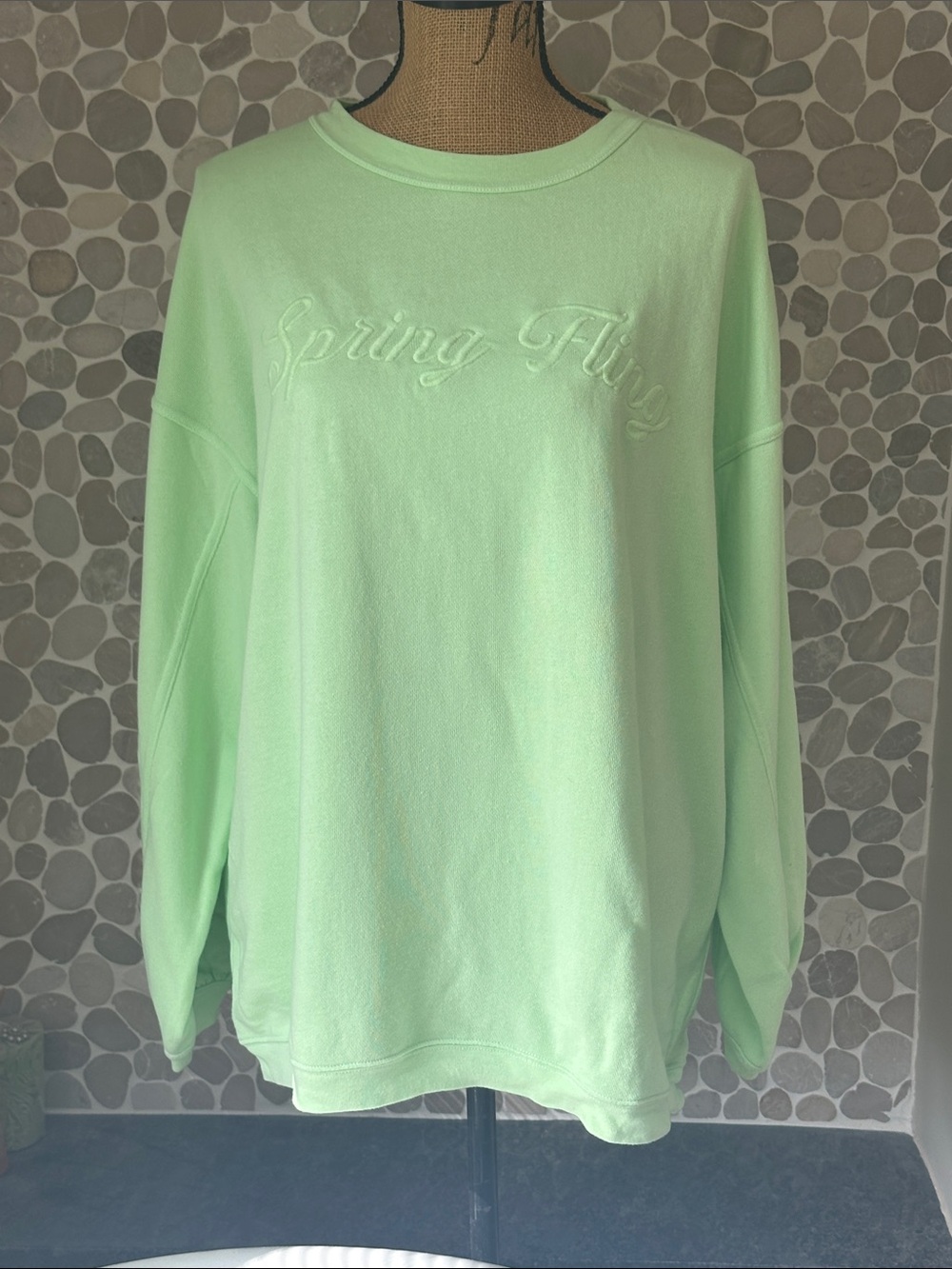 aerie Mint Green "Spring Fling" Embroidered Sweatshirt